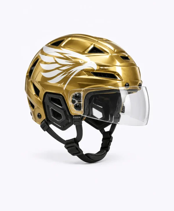 Ice Hawk Helmet